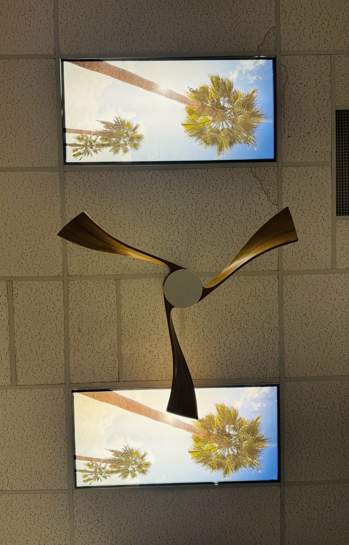 Palm trees on the ceiling above the therapy room