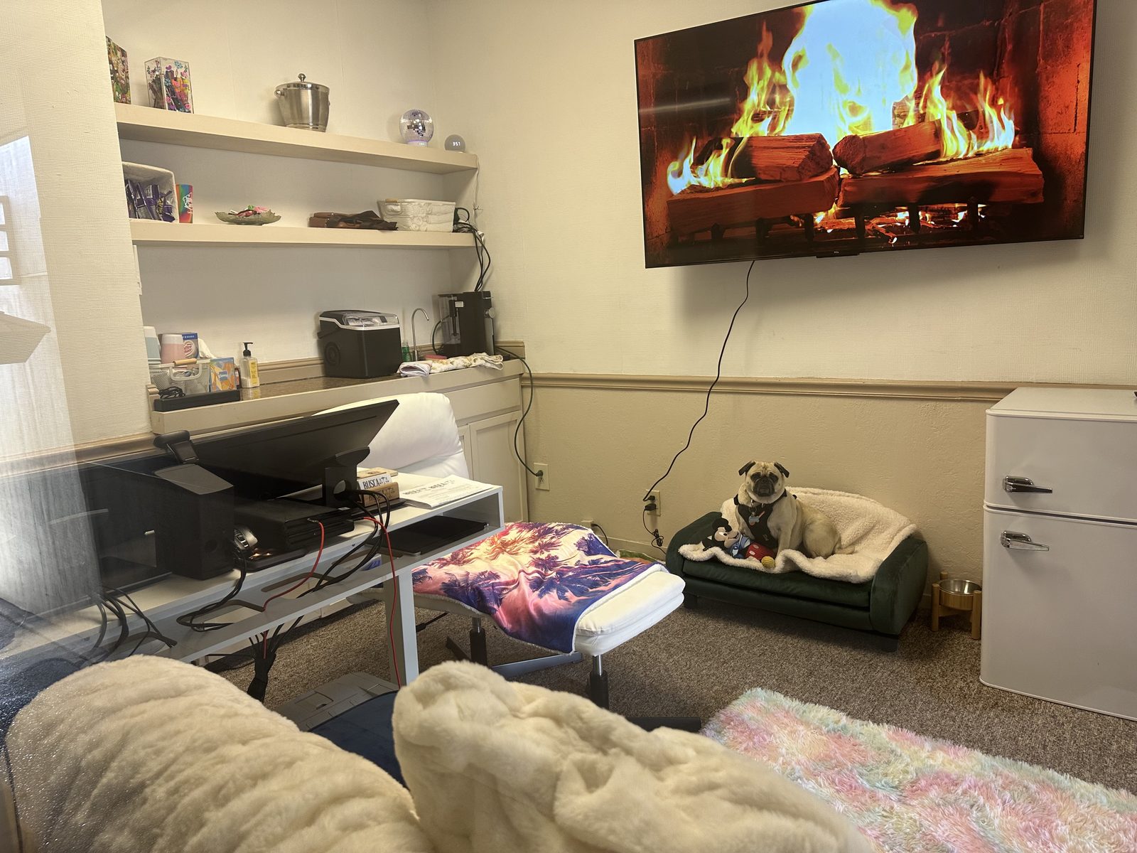 Inside the Rusca Therapy office in Fresno, with Peacha the pug on her couch